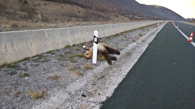 24837665_572895973041844_8708013800802959849_o