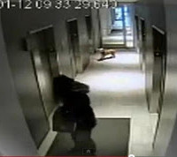 Απίστευτο βίντεο! Ξέχασε το σκύλο του έξω από το ασανσέρ κρατώντας τον με το λουρί!