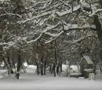 Χιονισμένα τοπία σε Κουρί και ορυχεία της ΔΕΗ – Βίντεο
