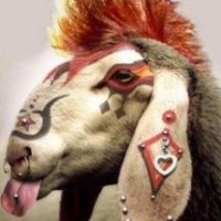 Κομμάτια, θρύψαλα και τραγέλαφος…