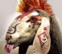 248x250_132909815381