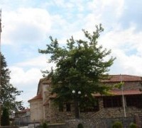 Κίνηση Πολιτών Λευκοπηγής: «Αποκριές όπως παλιά»