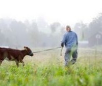 Στροφή στην καλλιέργεια της γης για πάνω από ένα εκατ. Έλληνες!