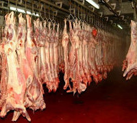 To κίνημα του αρνιού στην Δυτική Μακεδονία! Βίντεο…