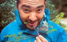 assets_LARGE_t_175762_54033479_type12128