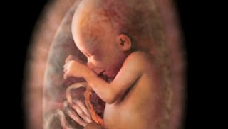 emvrio_stin_koilia86458