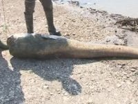 Απίστευτη ψαριά στη λίμνη Πολυφύτου! Βίντεο…