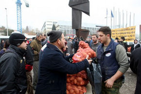 paragogos_patatas9869