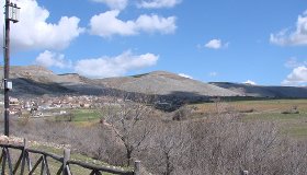pteleonas_koz3465