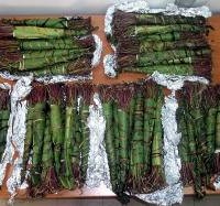 Τον έπιασαν με τεράστιες ποσότητες σπάνιου ναρκωτικού