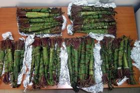 spanio_narkotiko4567