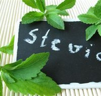 Στέβια, το γλυκαντικό της επόμενης χιλιετίας, σε ημερίδα στην Λευκοπηγή