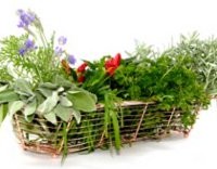 Απίστευτα φάρμακα που έχετε όλοι στο σπίτι σας και δεν το φαντάζεστε!