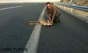 zarkadi_nekro_se_dromo976