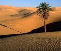 Μήπως δεν είμαστε φωνές βοώντων εν τη ερήμω;