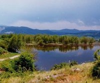 Μαγευτικές εικόνες από το πλημμυρισμένο πλατανόδασος των Αναβρυκών (Ρύμνιο προς Ζιδάνι) – Βίντεο…