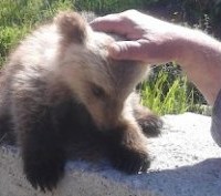 Καταπληκτικός ο μικρούλης, βρέθηκε στην Κρανιά Γρεβενών!