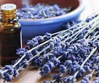 Πως να μυρίζει όμορφα το σπίτι!