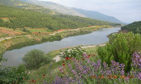 katsaounis_fragma_sisaniou8756