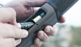 kinigi_banner_gemisma6543