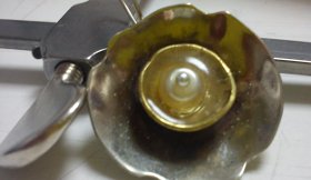 kosmima_eikastiko875