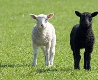 Ο Τσίπρας μάς έφερε ως εδώ;