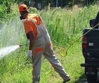Βιολογικά «όπλα» στη… μάχη ενάντια σε κατσαρίδες, κουνούπια και μύγες!