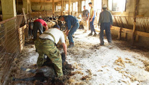 kourema_provaton8i768