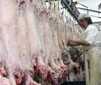 Κρούσμα μελιταίου πυρετού στα Σφαγεία Κοζάνης!