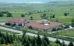 aiani mouseio876876589