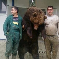 Η απάντηση του Αρκτούρου για τη θηριωδία με την Αρκούδα