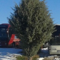 Σύλληψη έξι Αλβανών διακινητών για μεταφορά λαθρομεταναστών! Κατασχέθηκαν τέσσερα λεωφορεία και ένα αυτοκίνητο