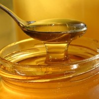 Μέλι Θάσου από τον Μελισσοκομικό Συνεταιροσμό Θάσου στην Κοζάνη