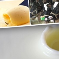 Τρελές αγελάδες, αλογίσιο κρέας και άλλα… διατροφικά σκάνδαλα