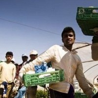 Βίντεο ντοκουμέντο λίγα λεπτά μετά την επίθεση στη Μανωλάδα: Στο έδαφος δεκάδες τραυματίες