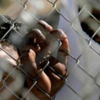 Προτεραιότητα έναντι των Ελλήνων θα έχουν οι μετανάστες στην αγορά εργασίας