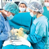Νόμος 3984/2011: Προϋποθέσεις αφαίρεσης οργάνων, ιστών & κυττάρων