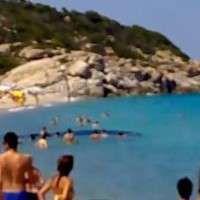 Δείτε τι εμφανίστηκε σε παραλία της Χαλκιδικής! Βίντεο