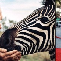 Τζον Πολ: O άστεγος Έλληνας που έγινε δισεκατομμυριούχος και τιμάται για το φιλανθρωπικό του έργο