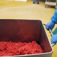 Ιδού οι εταιρείες που μας «σέρβιραν» άλογο και μουλάρι – Όλα τα ονόματα!