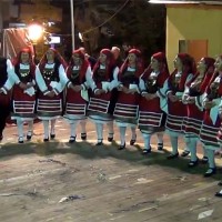 Δείτε τα χορευτικά τμήματα του Συλλόγου της Νέας Χαραυγής στην Κοζανίτικη Αποκριά 2014!