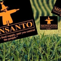 Monsanto: Οι σπόροι του θανάτου…