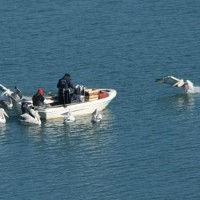 Γιορτή Ψαριού – Γευσιγνωσία το Σάββατο12 Απριλίου στην Κεντρική Πλατεία Σερβίων