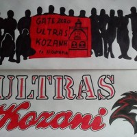 Ανακοίνωση του Συνδέσμου φιλάθλων Κοζάνης «Τα Λιοντάρια» για τις αποφάσεις της σύσκεψης του Δ.Σ. της ομάδας