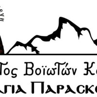 Ψήφισμα Συλλόγου Βοϊωτών Κοζάνης για το θάνατο του Θωμά Μπέλλου
