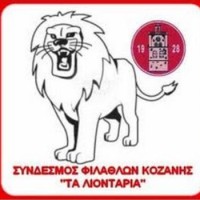 Σ.Φ. Τα Λιοντάρια: Θλίψη για την κατάντια του γηπέδου ΔΑΚ Κοζάνης