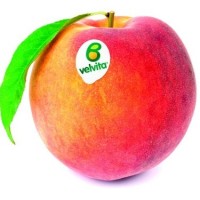 Έφτασε η velvita! Ροδάκινα και νεκταρίνια από τον ΑΣΕΠΟΠ Βελβεντού