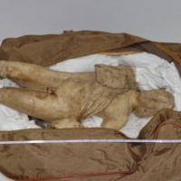 Αρχιφύλακας του τμήματος Αρχαιοκαπηλίας συνελήφθη για… αρχαιοκαπηλία! Μεθόδευαν ανασκαφή στην περιοχή της Πτολεμαΐδας