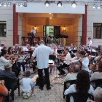Βίντεο: Εκπληκτική η παρουσία της Ορχήστρας Νέων της Wil της Ελβετίας στη Σιάτιστα