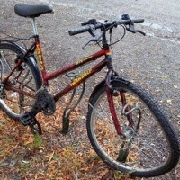 Ατύχημα με νεαρή ποδηλάτισσα και ασυνείδητο οδηγό στην Πτολεμαϊδα